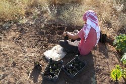 June images from our Make Rojava Green Again campaign