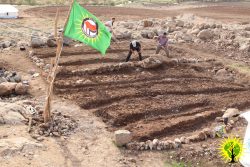 Make Rojava Green Again - December 2017 and January 2018
