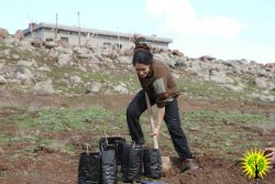 Make Rojava Green Again - March 2018