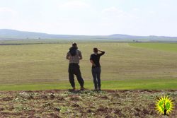 Make Rojava Green Again - March 2018