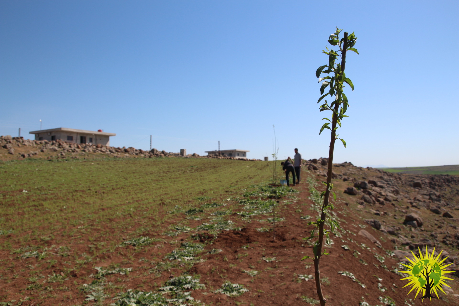 Make Rojava Green Again! Pictures gallery – April 2018
