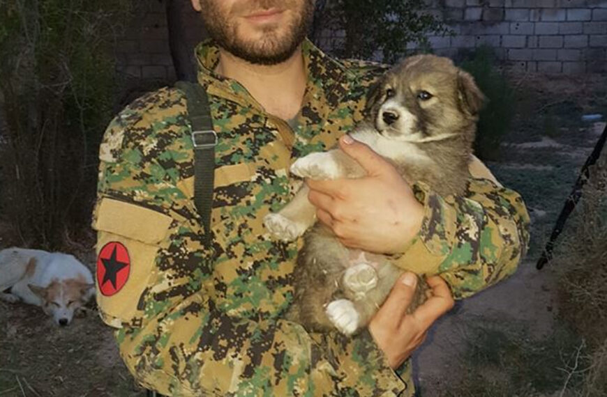 PARTISANS OF ITALY IN NORTH-EAST SYRIA