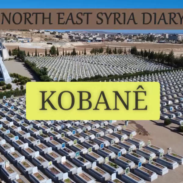 North East Syria Diary: Understanding the Reality of War in Kobane