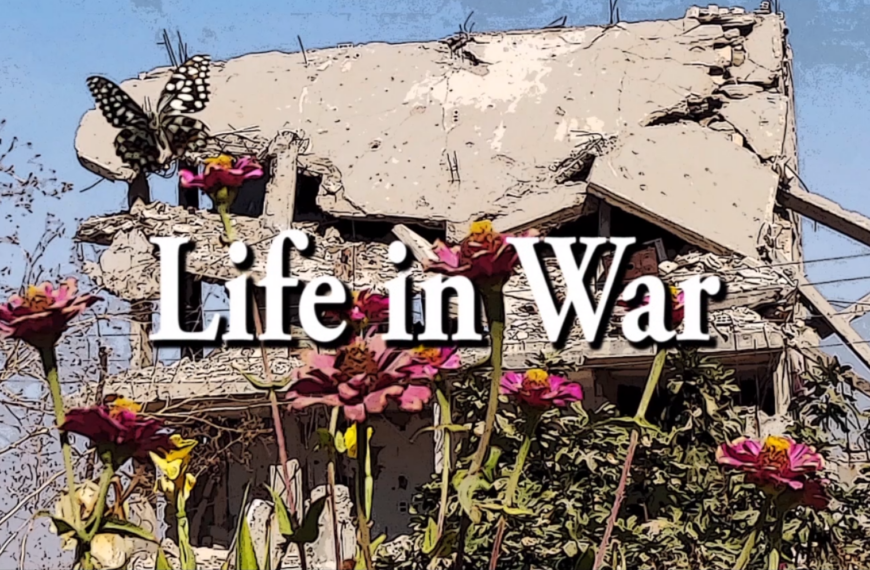 Documentary about People’s Resistance in Kobanê: Life in War